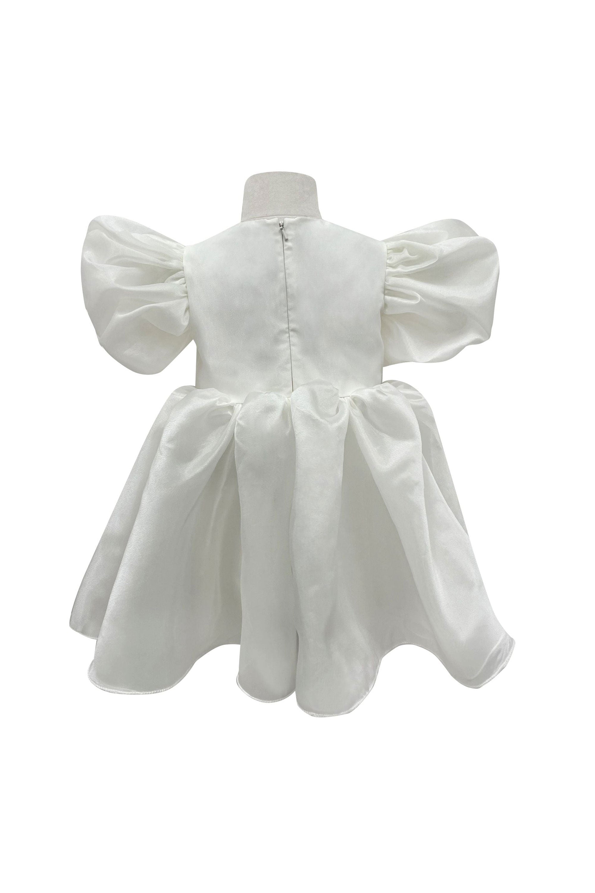 The Alaia Organza Dress (White)