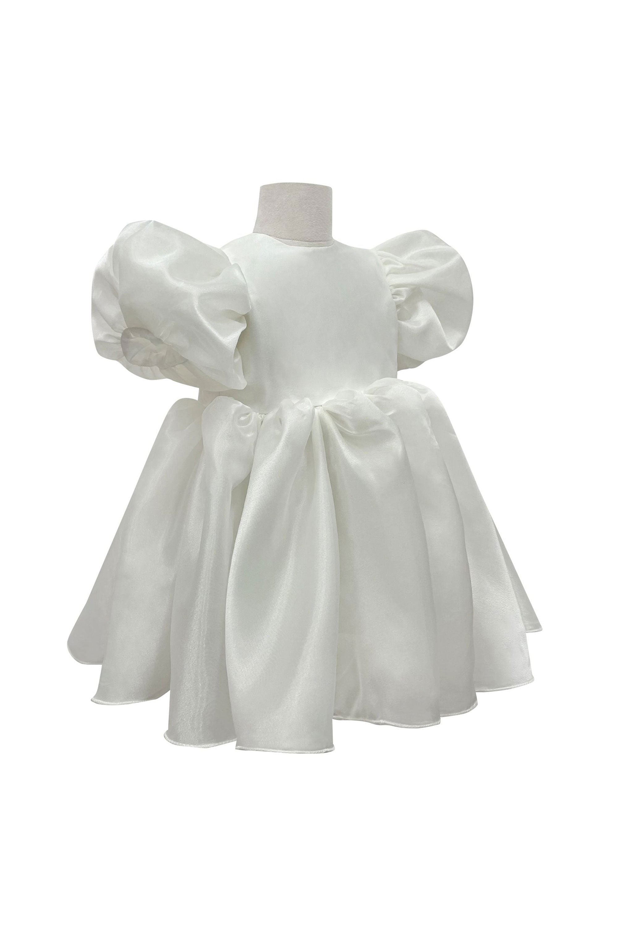 The Alaia Organza Dress (White)