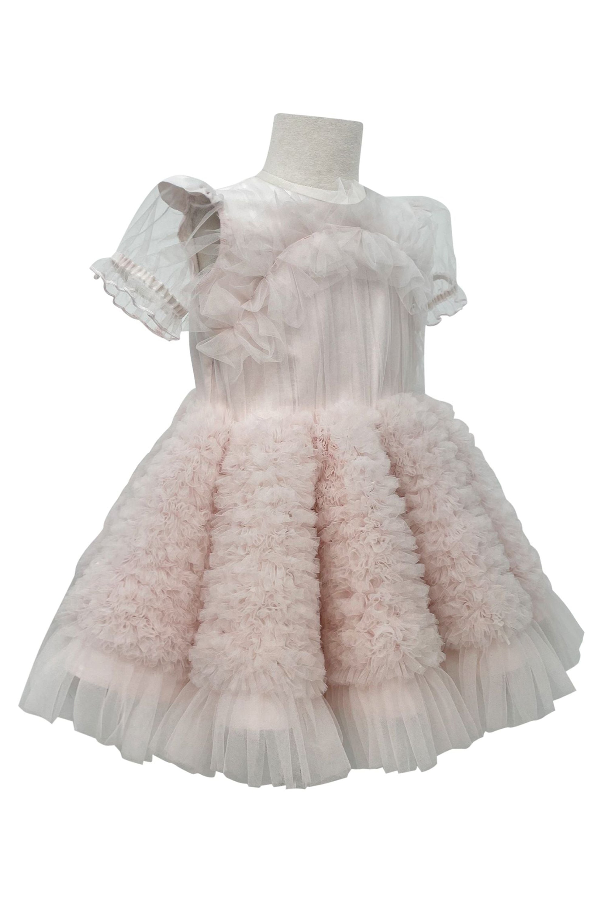 The Ariel Tulle Dress With Sleeves