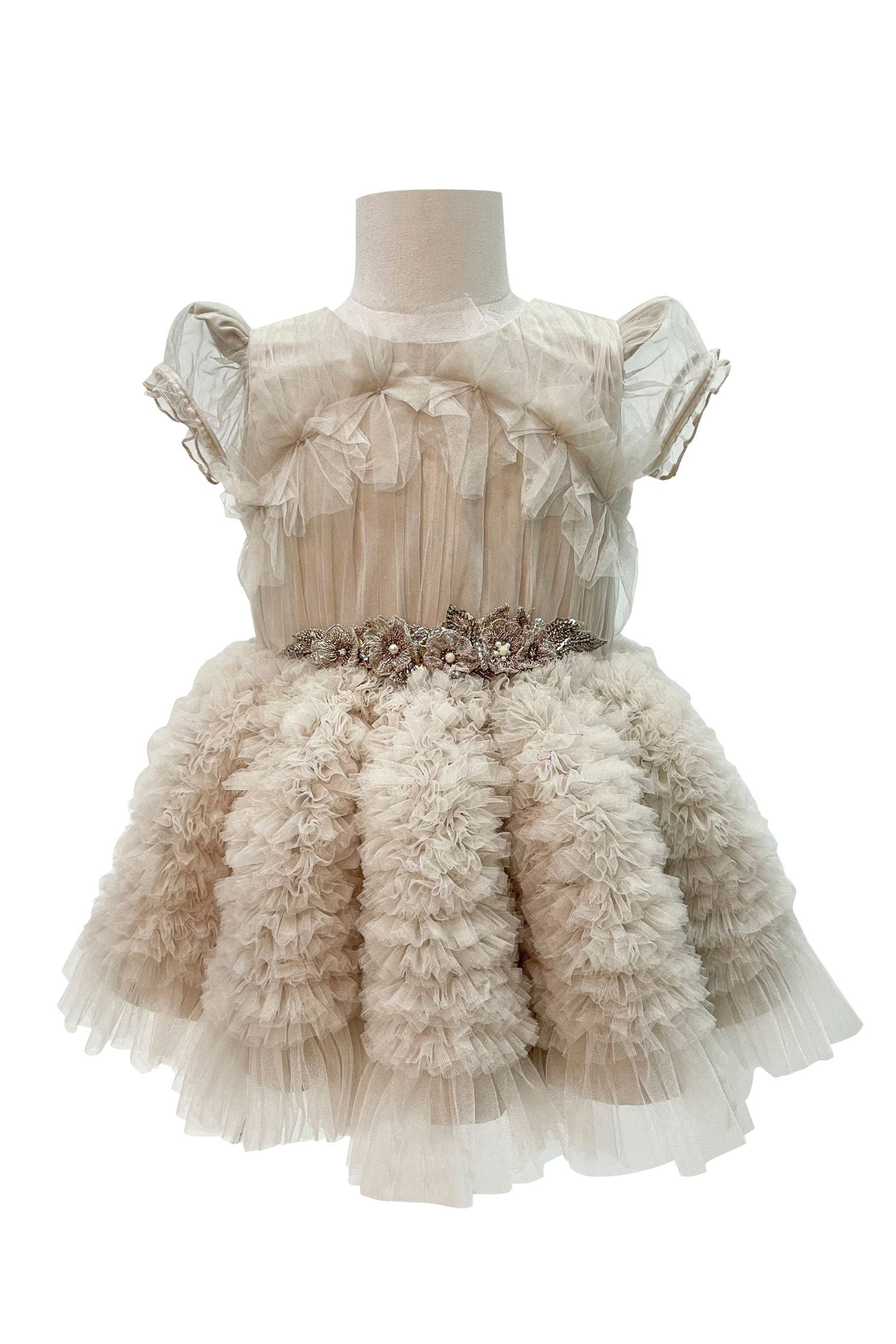 The Embellished Ariel Tulle Dress with Sleeves (Beige)