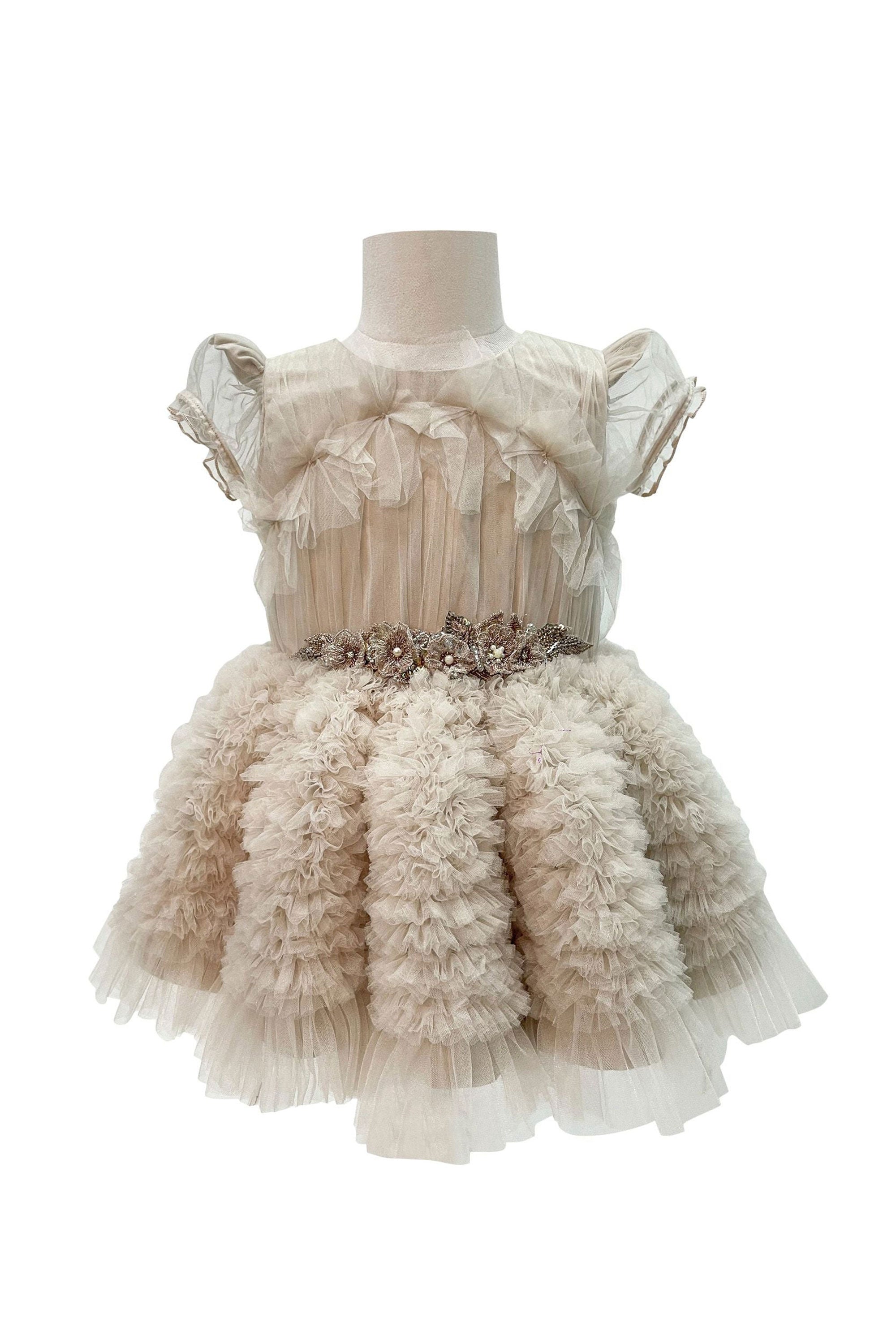 The Embellished Ariel Tulle Dress with Sleeves (Beige)