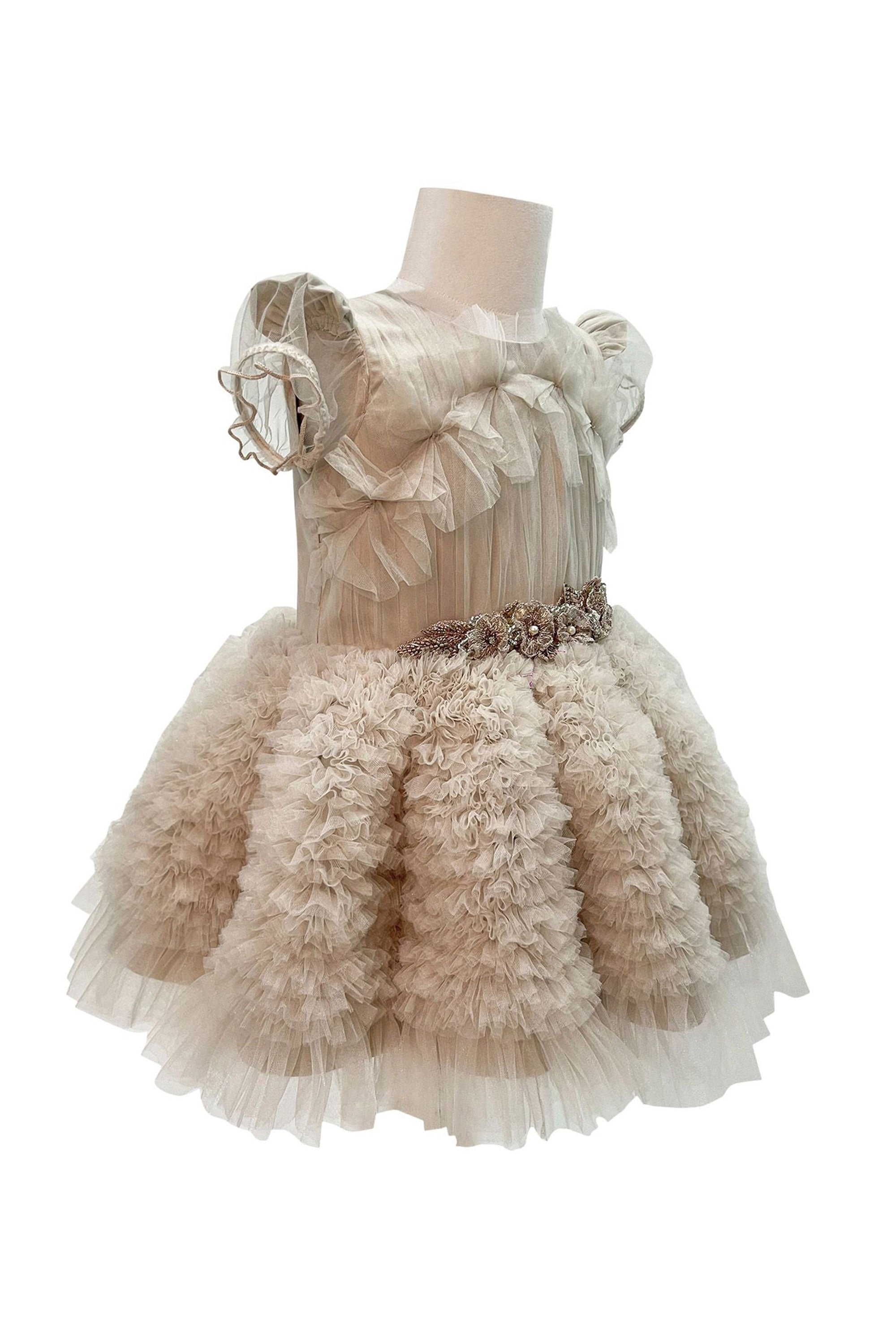 The Embellished Ariel Tulle Dress with Sleeves (Beige)