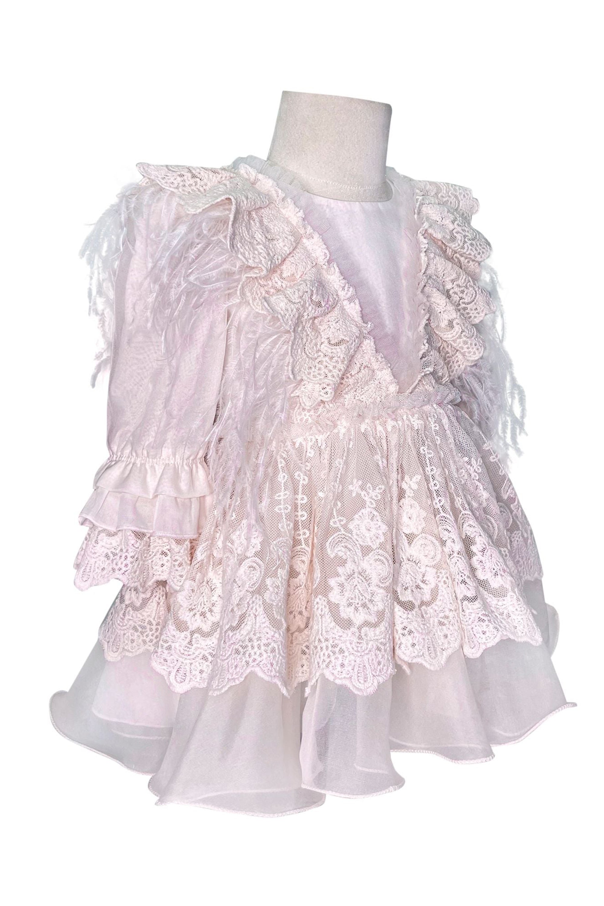 Sleeved Feather Fairy Dress (Pink)