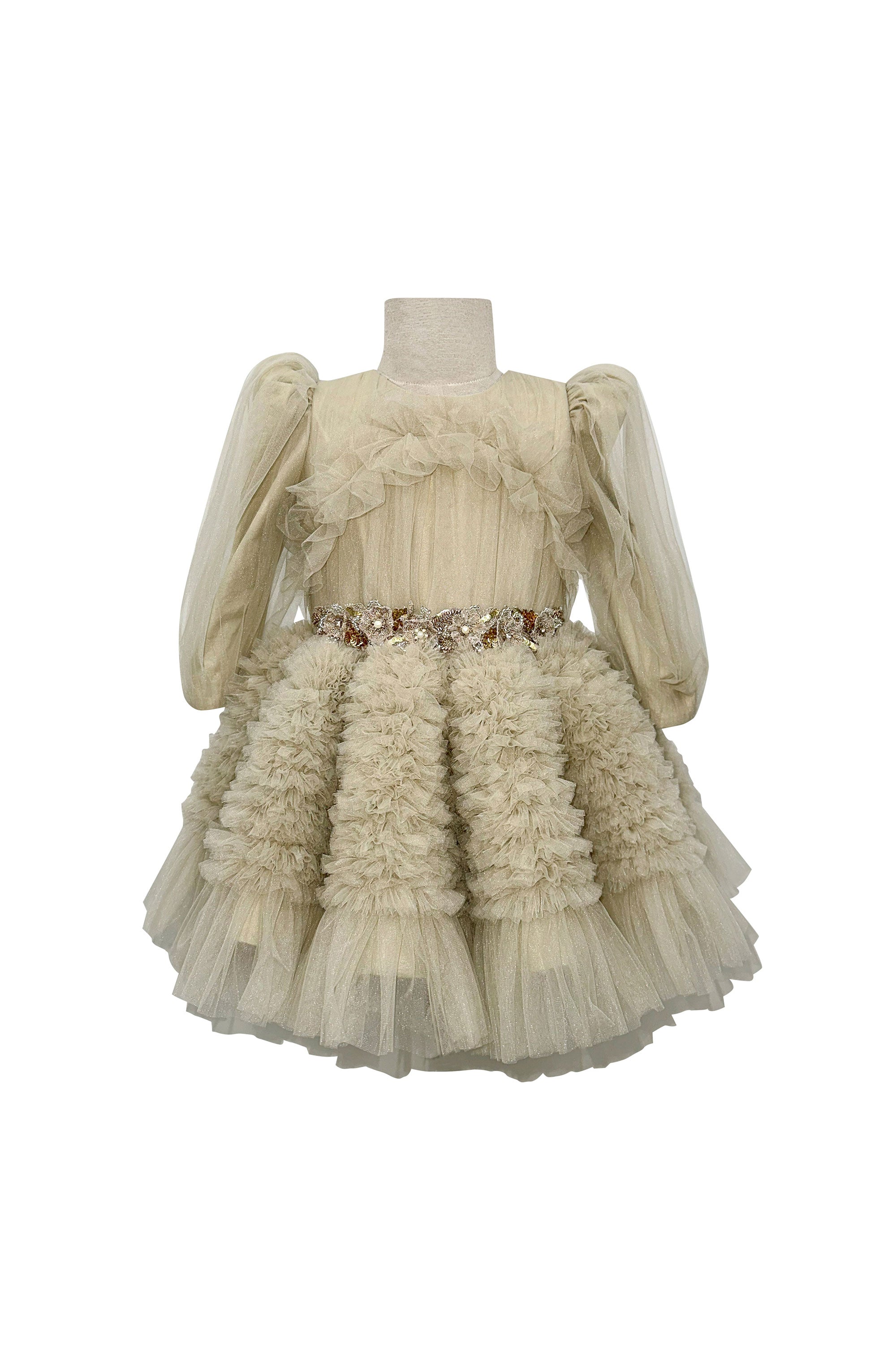 The Embellished Ariel Tulle Dress in Full Sleeves (Beige)