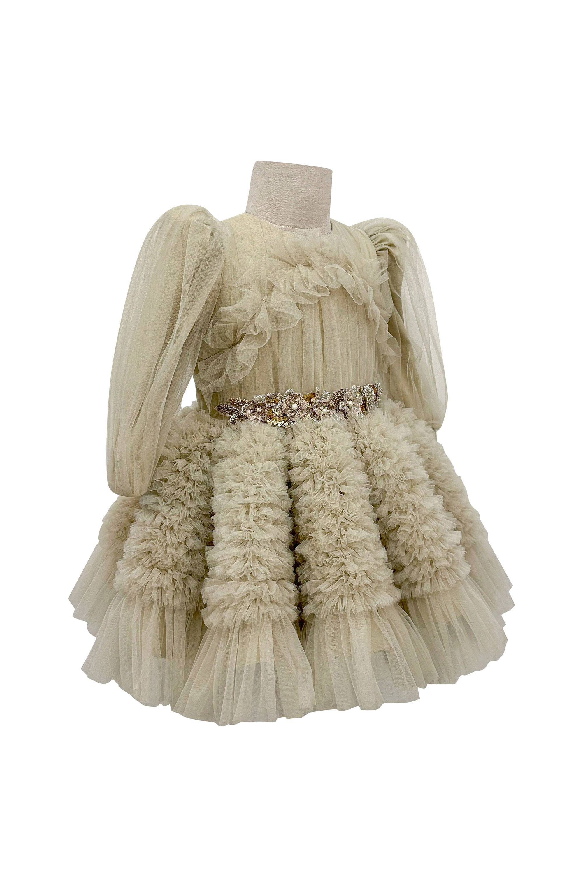 The Embellished Ariel Tulle Dress in Full Sleeves (Beige)