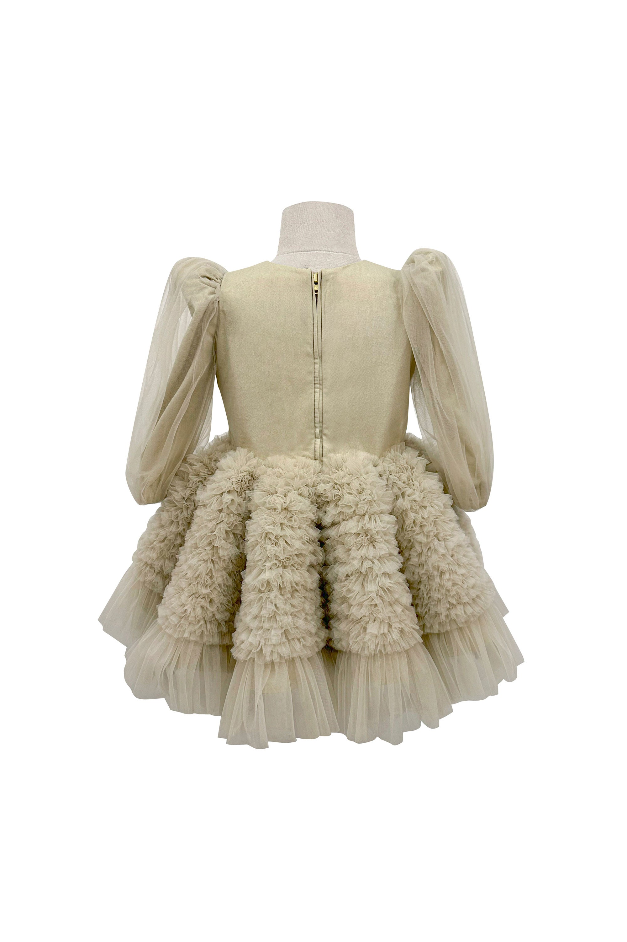 The Embellished Ariel Tulle Dress in Full Sleeves (Beige)