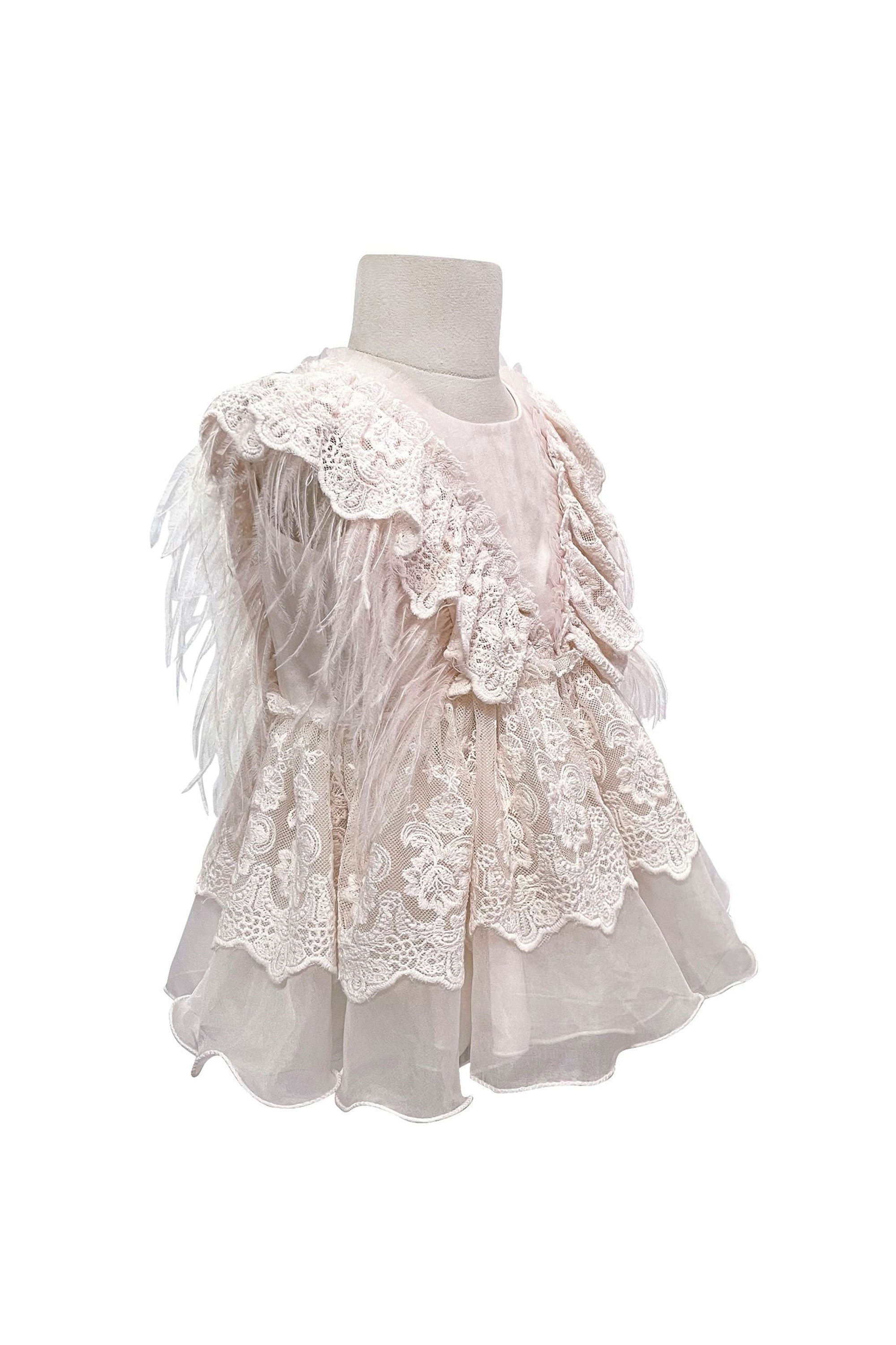 The Feather Fairy Dress (Pink)