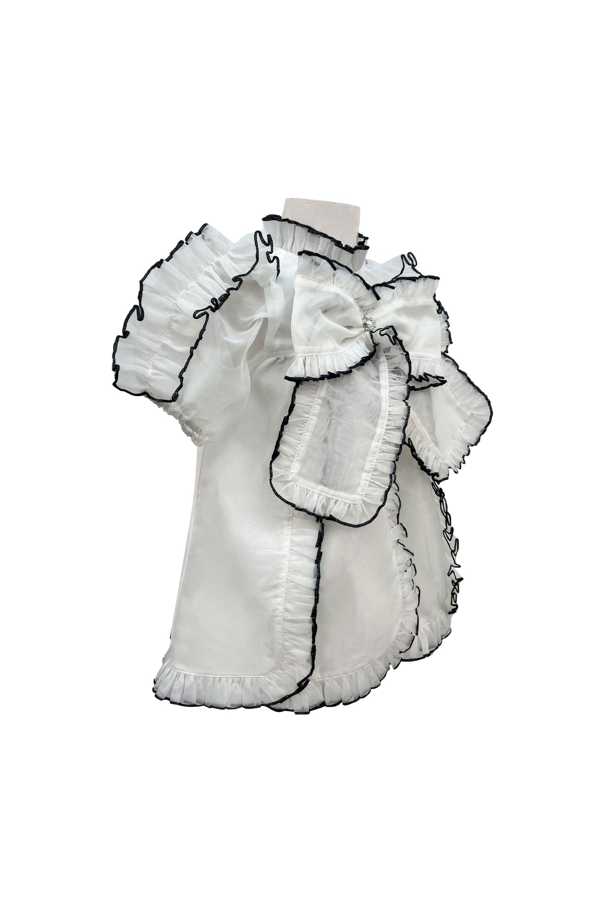 The Sienna Organza Dress (White)